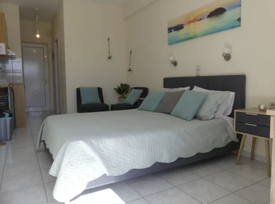 Deluxe Apartment