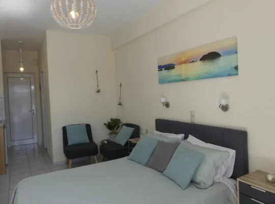 Deluxe Apartment